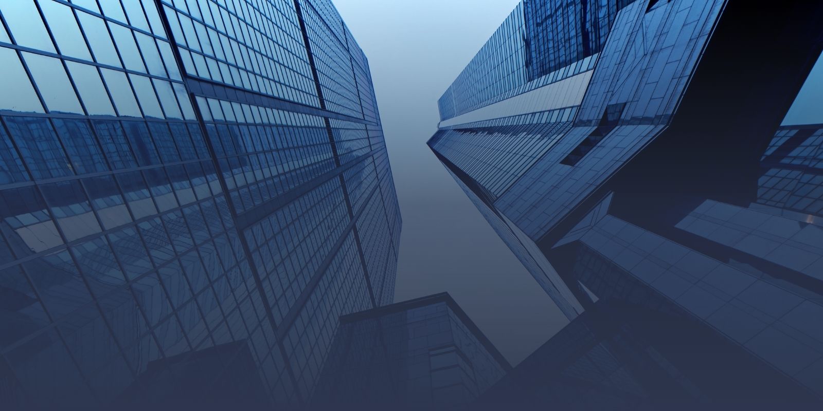 Tenzor-Advisory-Header-01